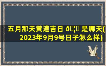 五月那天黄道吉日 🦊 是哪天(2023年9月9号日子怎么样)